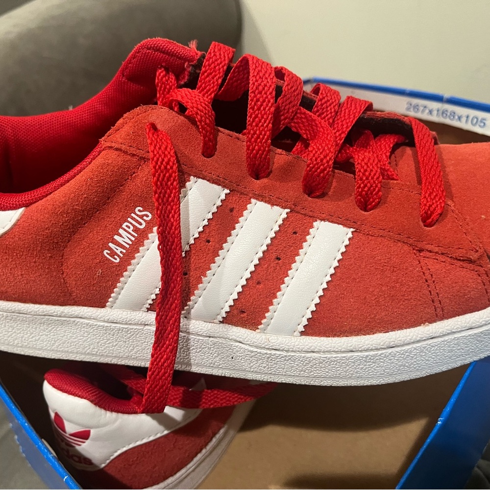 Adidas campus sneakers